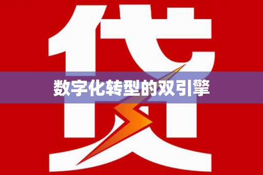 衡阳数字化转型的双引擎