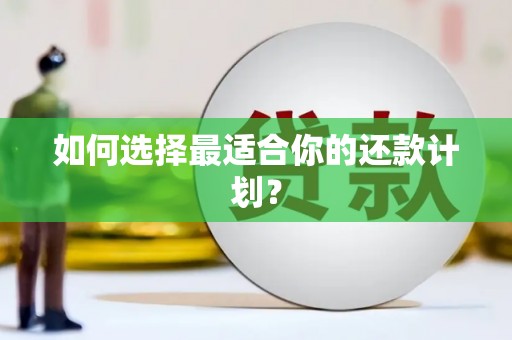 衡阳如何选择最适合你的还款计划？