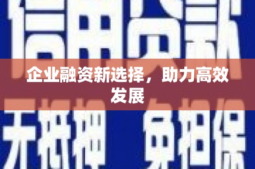 衡阳企业融资新选择，助力高效发展