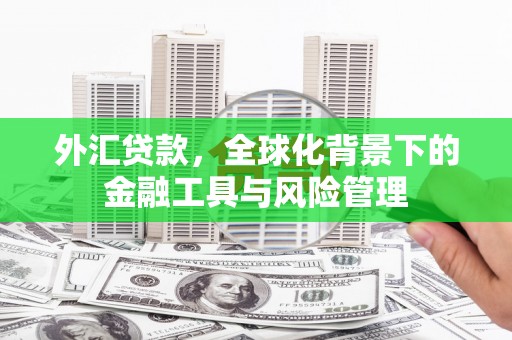 衡阳外汇贷款，全球化背景下的金融工具与风险管理