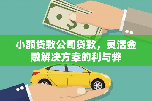 衡阳小额贷款公司贷款，灵活金融解决方案的利与弊